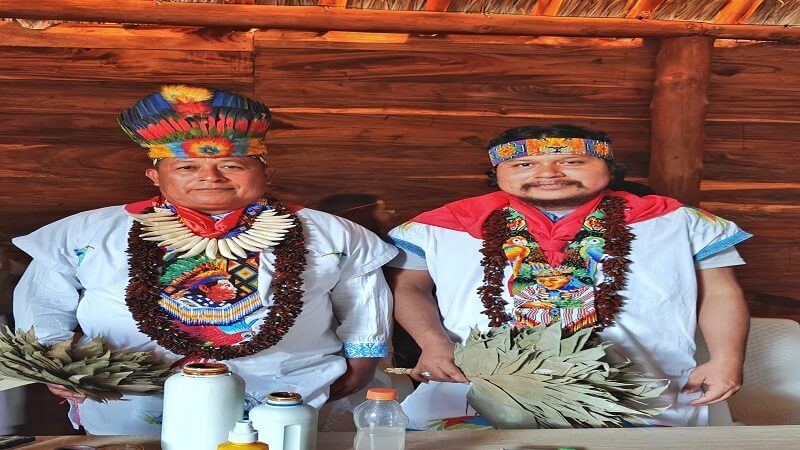 What is The Best Place to Try Ayahuasca in Colombia?