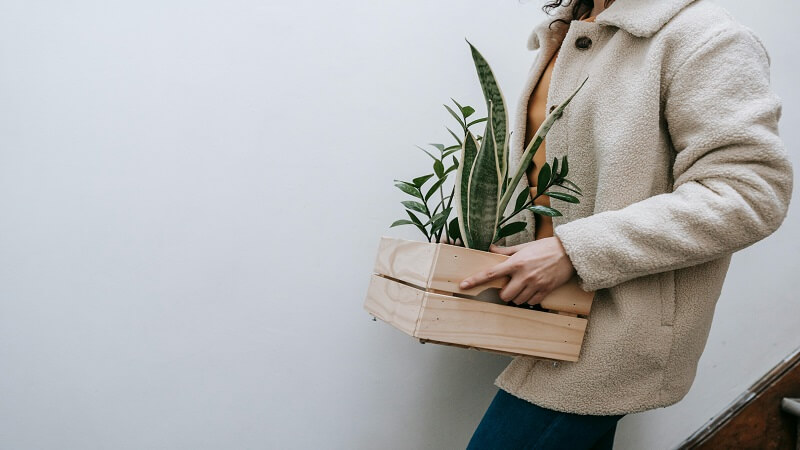Balancing the Stress of Long-Distance Moving and Home Adjustment